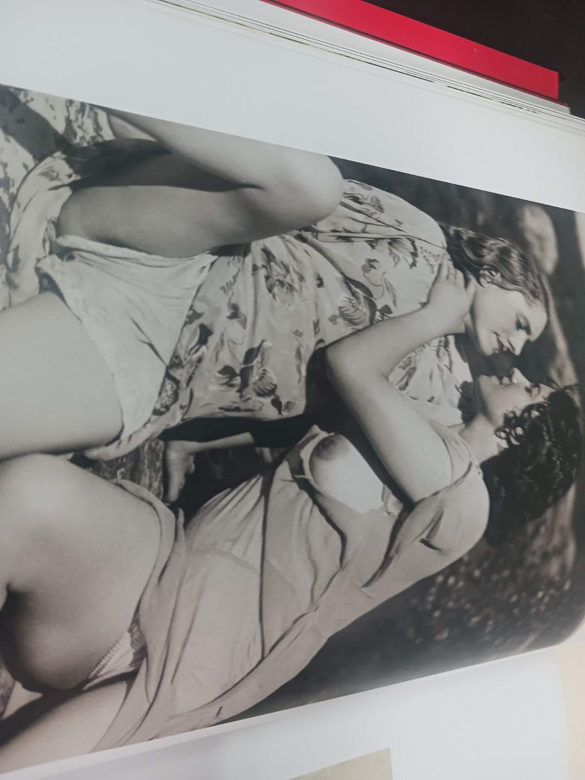 PHOTOBOOK EROTISMO SEX FOTOGRAFIA DIAN HANSON LESBIANS FOR MEN 2016 TASCHEN