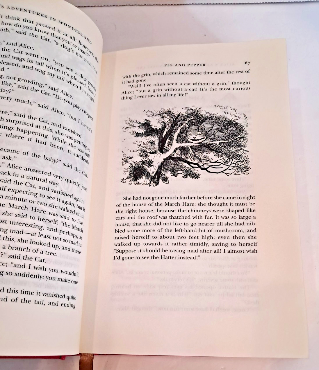 Alice’s Adventures in Wonderland by Lewis Carroll B&N Pink Luxury Edition C5