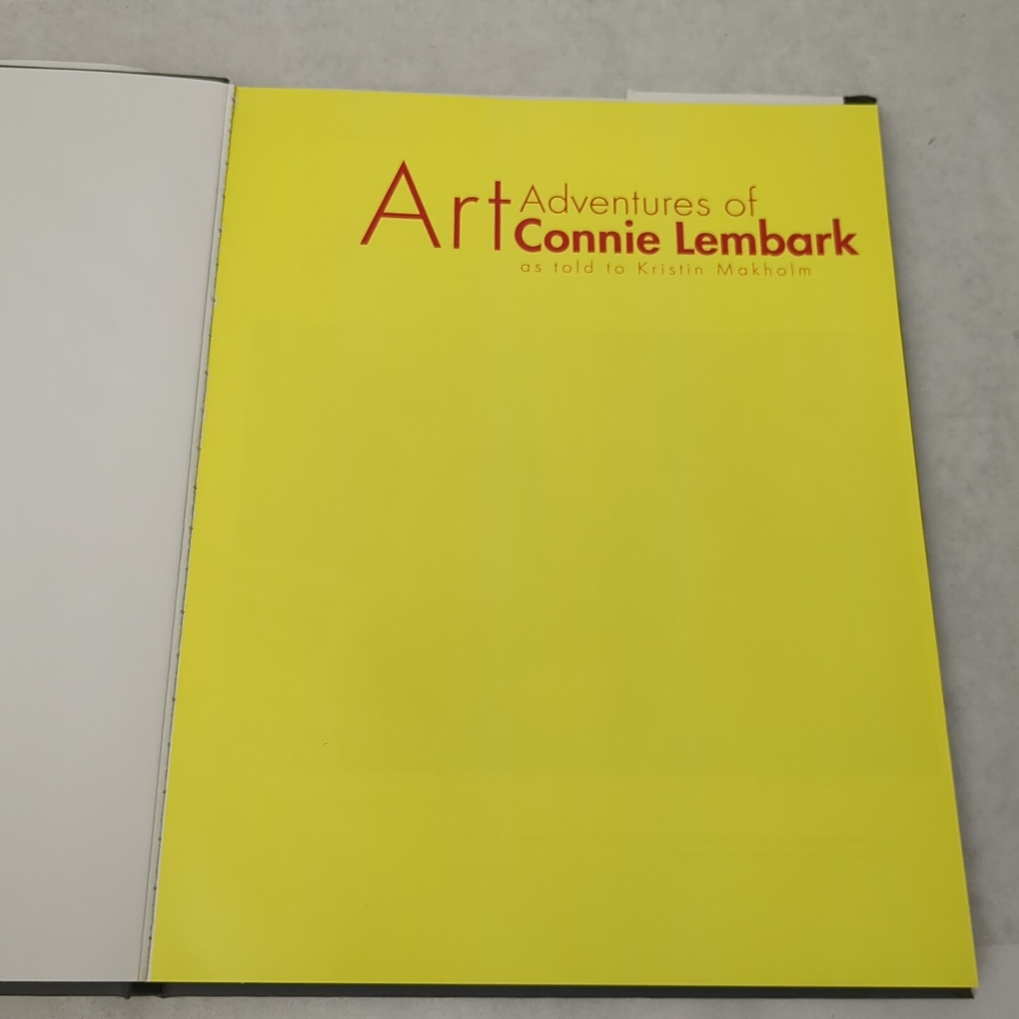 Art Adventures of Connie Lembark by Kristin Makholm (2009, Hardcover)