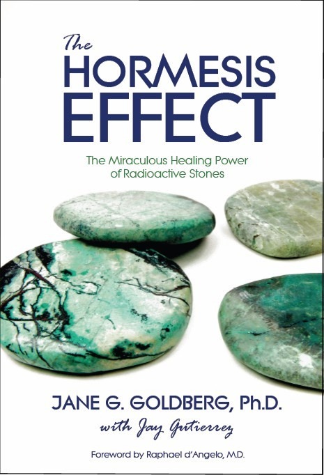 THE HORMESIS EFFECT Jane G. Goldberg Jay Gutierrez Paperback – Fast Ship