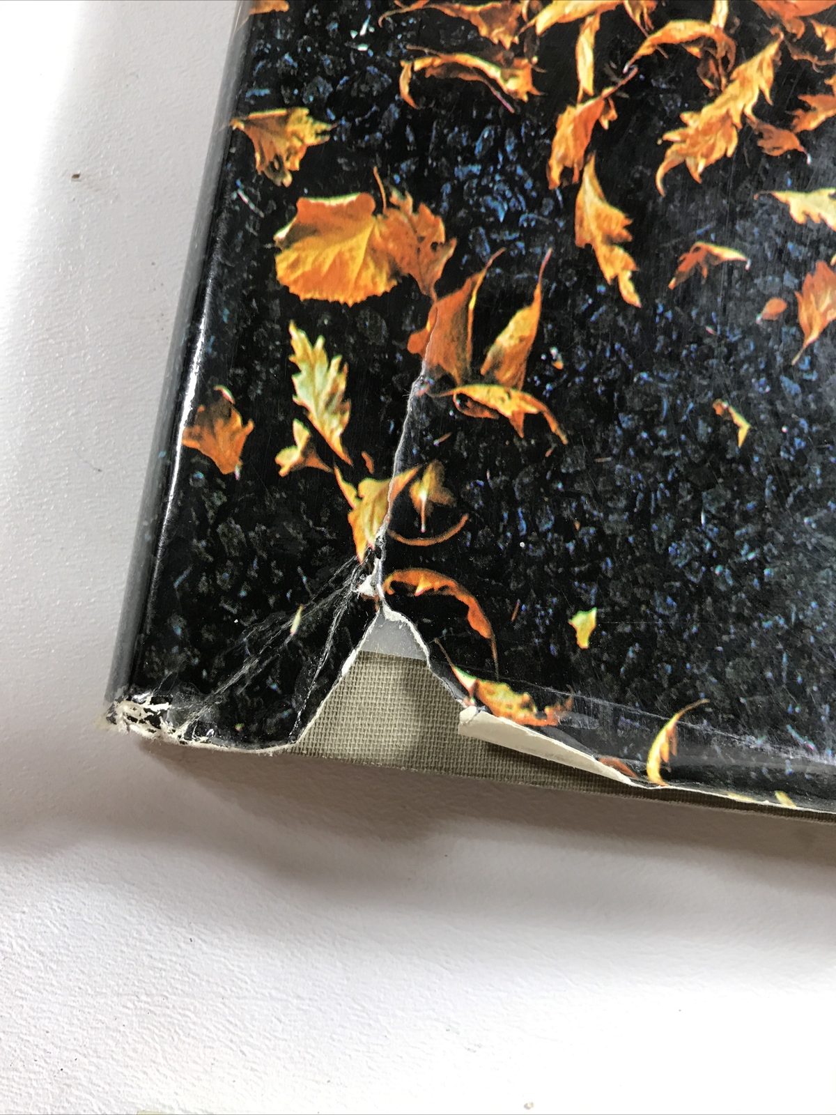 Modern American Gardens – James Rose (Dust Jacket, 1967)