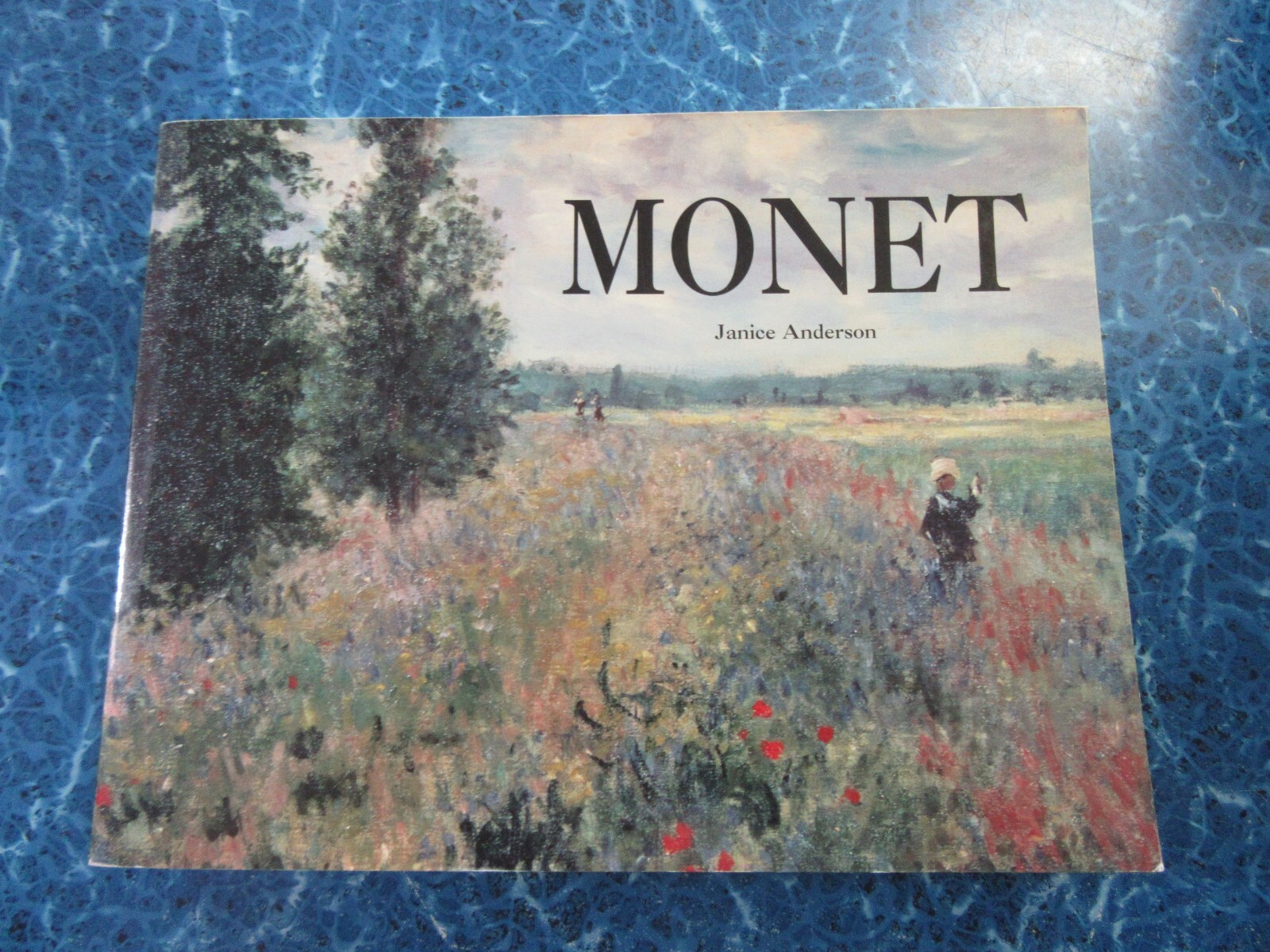 MONET by Janice Anderson 2002 Paperback
