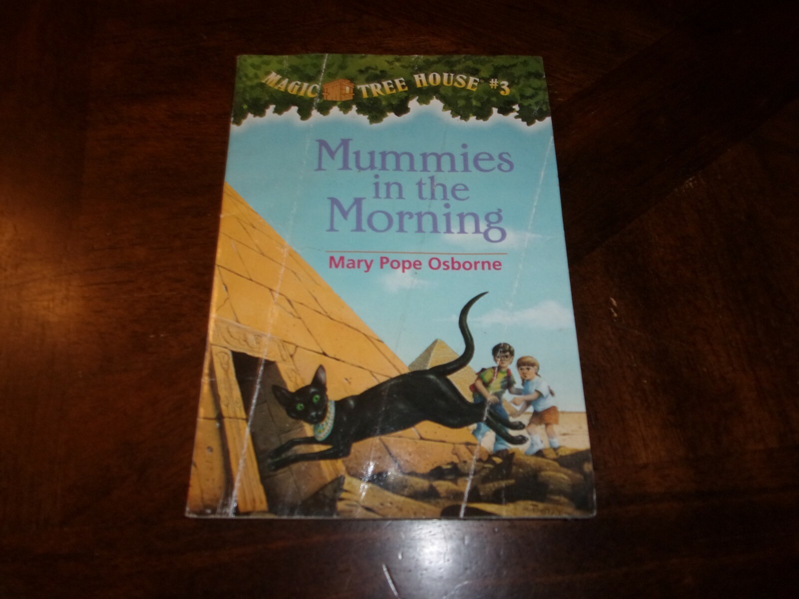 Magic Tree House Ser.: Mummies in the Morning by Mary Pope Osborne (1993, Librar
