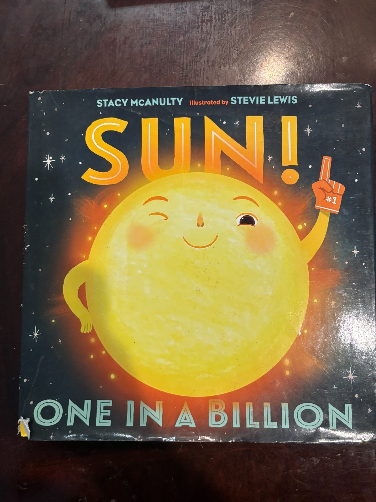 Sun! One in a Billion by Stacy McAnulty (2018, Picture Book)