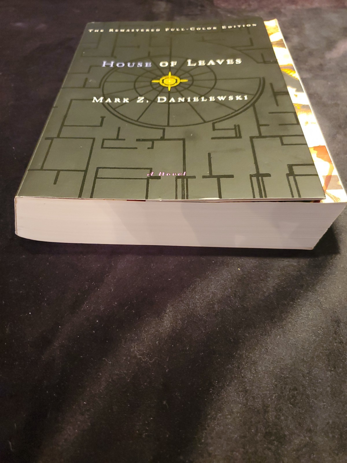 House of Leaves Mark Z. Danielewski Color Edition 2006 Printing UNREAD