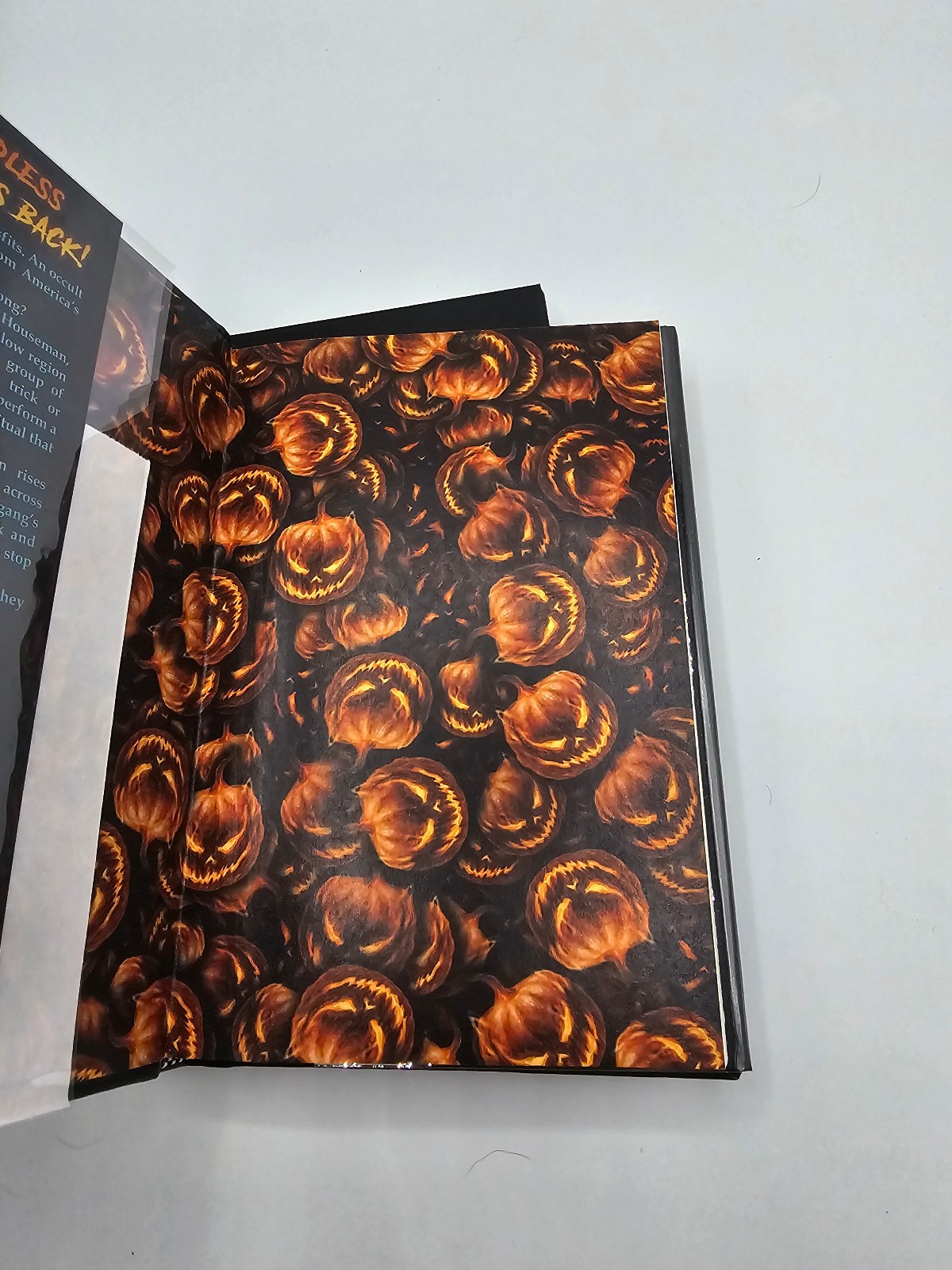 The Sleepy Hollow Gang Robert P. Ottone Signed Hardcover Weird House press