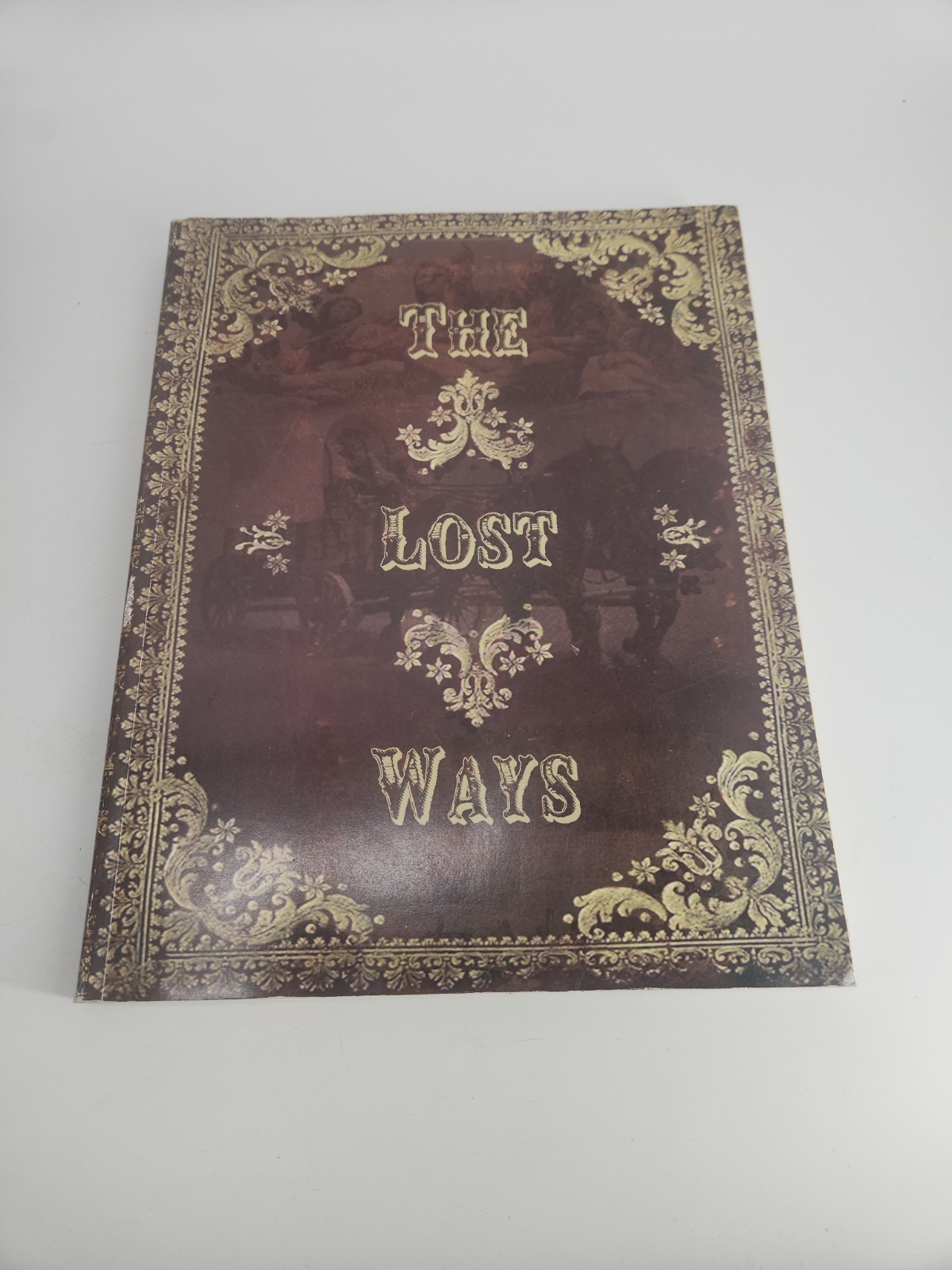 THE LOST WAYS BY CLAUDE DAVIS 2017 3rd EDITION PREPPER SURVIVAL PAPERBACK BOOK