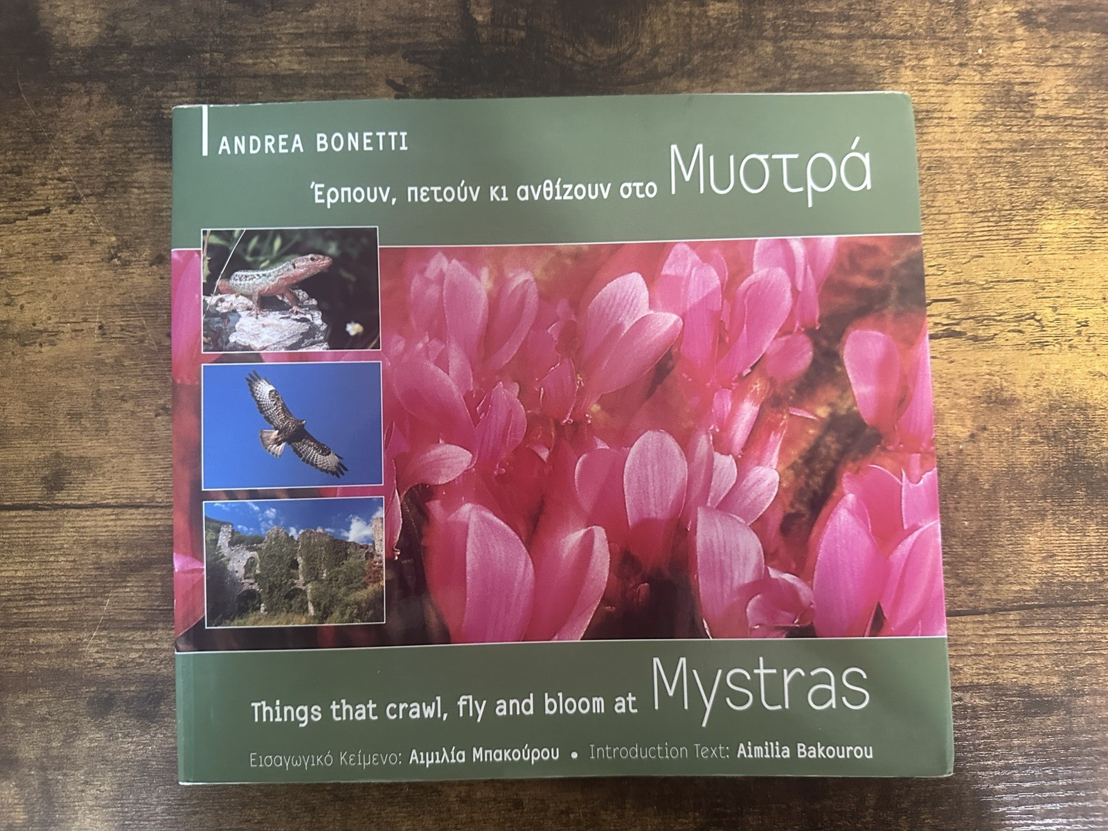 Greek and English Nature Pictures by Andrea Bonetti – 129 pages Read details