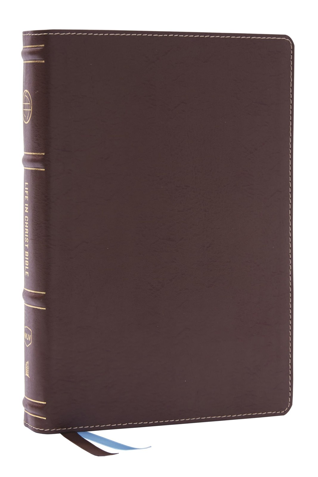 Life in Christ Bible: Discovering, Believing, and Rejoicing in Who God Says…