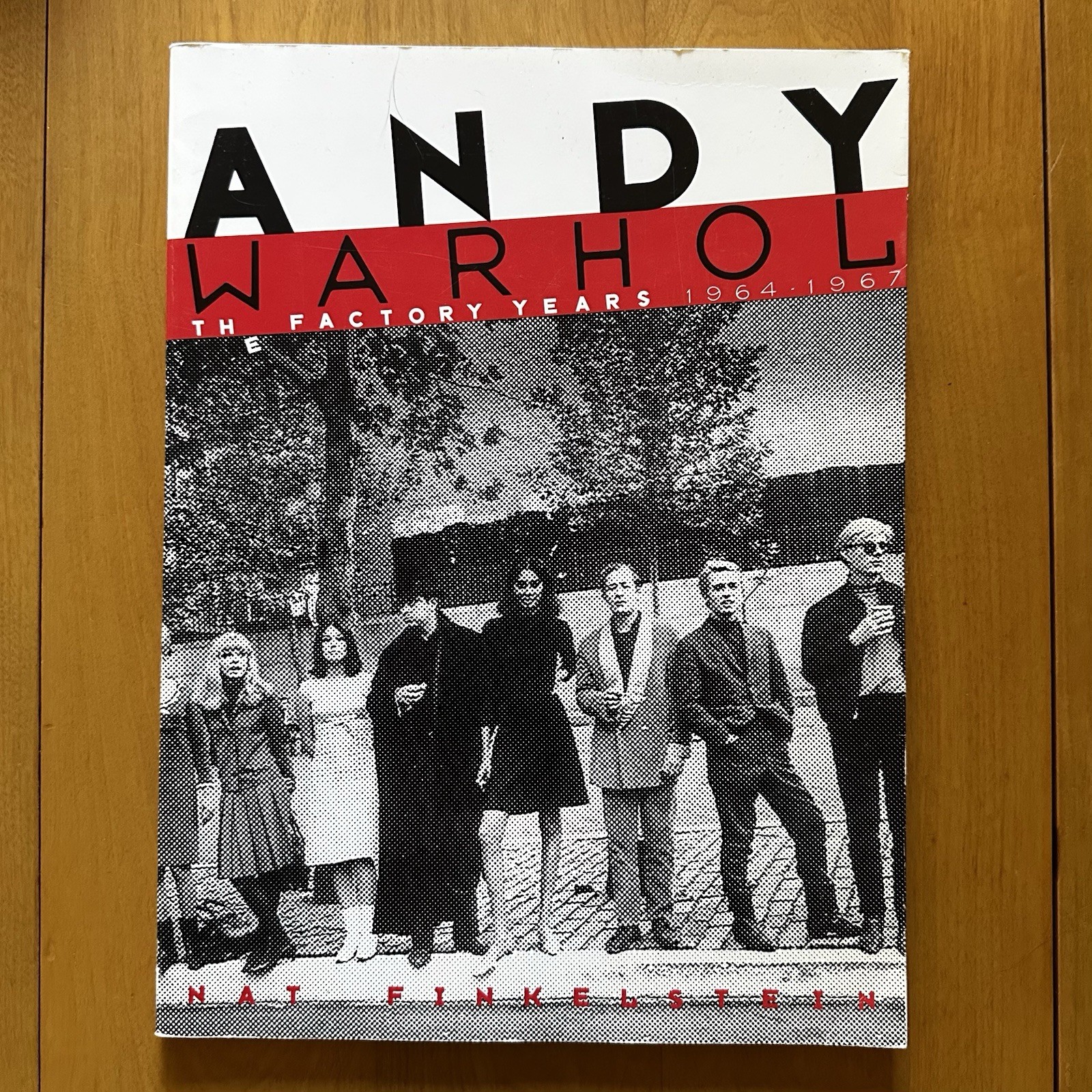✨ Andy Warhol: The Factory Years 1964-1967 Paperback Nat Finkelstein VG Cond ✨
